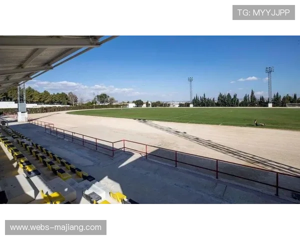 德甲启动假球调查程序，联盟强调赛事公正性底线